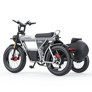 COSWHEEL-Tricycle électrique CT20S, avec assistance à la pédale à trois roues, 2000W - Product Image 1
