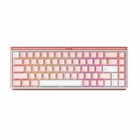 Clavier AKKO RAY68 compact avec double rétroéclairage, filaire, 8K, à interrupteurs magnétiques