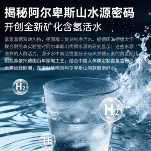 Purificateur d'eau de bureau allemand NaiKaisen DK-N3 riche en hydrogène et en strontium, distributeur d'eau chaude instantanée, pour usage domestique, à hydrogène pur. - Product Image 2