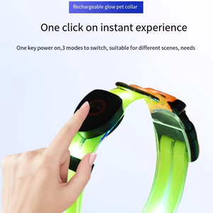 Correa y Collar Ajustable para Perro, con Luz <span class=keywords><strong>LED</strong></span>, de Nailon y PVC, Impermeable, Reflectante, Duradero, con Patrón Sólido, para Gatos - Product Image 3