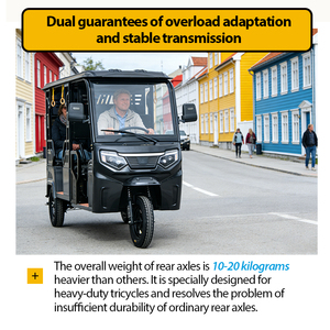 Tricycle Électrique Urbain à <span class=keywords><strong>Trois</strong></span> <span class=keywords><strong>Roues</strong></span>, Cabine Fermée, 3 Passagers, 1000W+, Autonomie 70-90km – Vente Chaude à Prix Abordable - Product Image 5