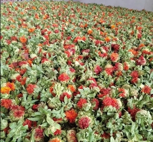 ดอกคำฝอยแห้งขายส่ง สมุนไพรเพื่อสุขภาพ ชาดอกไม้สีแดง กลีบดอกคำฝอยแห้งจากจีน ราคา - Product Image 5