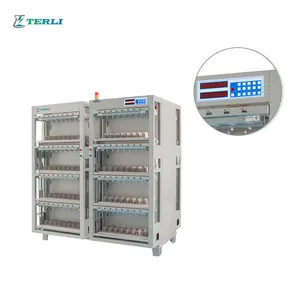 Équipement de test de décharge de batterie prismatique Analyseur de testeur de batterie au lithium Machine de classement de cellules