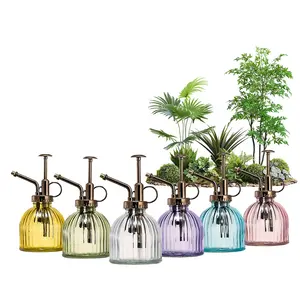 小型透明玻璃喷壶200毫升喷雾瓶玻璃植物先生，带塑料顶泵，用于室内盆栽植物
