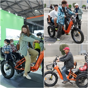 Aimos changzhou Xe đạp điện nhà máy 48V 750W phía sau động cơ 20Ah Lithium ẩn Pin điện ba bánh chất béo lốp gấp etrike - Product Image 6