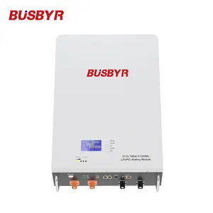 High Power 10Kwh Wall Mounted Battery 48V 51.2V 100Ah LiFePO4 Lithium Solar Home 200Ah Solar System