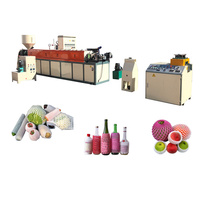 HeXing entièrement automatique PE EPE Fruit mousse filet faisant la machine d'extrusion