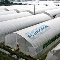 Serre tunnel gothique grande taille à succès, avec film plastique PE anti-âge, montage facile pour légumes de jardin