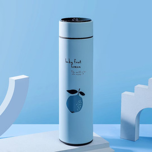 Botella de Agua Moderna de Acero Inoxidable de 500 ml con Pantalla Digital de Temperatura, Aislamiento Térmico de 6 a 12 Horas, Termo con Aislamiento al Vacío 304 - Product Image 4