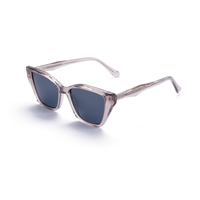 Lunettes de soleil Elan Optical SYB6209, monture œil de chat tendance, sans peinture, pour hommes et femmes, monture en acétate naturel parfumé