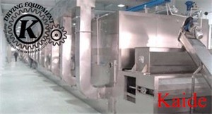 Secador de granos fermentados serie DW certificado por GMP, secado activo enzimático para Malta y granos destilados - Product Image 4