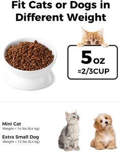 Elevated Ceramic <b>Cat</b> Food Bowl Tilted Raised Water Dish for Spine Protection and Anti Vomiting - Product Image 3
