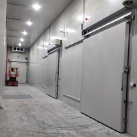 Nouveau projet -25 ℃   Chambre froide avec isolation en PU, système de réfrigération fonctionnant automatiquement