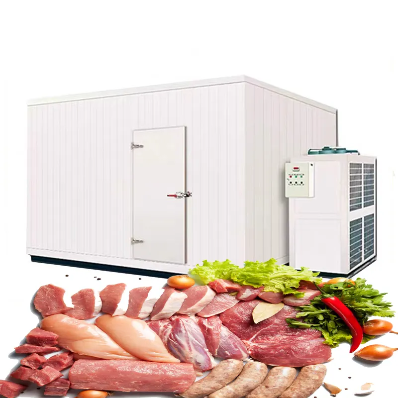 20% una maggiore efficienza dei produttori di celle frigorifere dell'impianto di refrigerazione dei frutti di mare