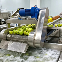 Ligne de production de jus de goyave, pomme et poire industrielle, équipement de transformation de la pulpe de fruits pour matières premières fraîches