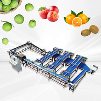 Automatische fruitgewicht-, formaat- en suikersorteermachine met visueel inspectie- en sorteerlijn en suikergehalte-detector voor appels en sinaasappels