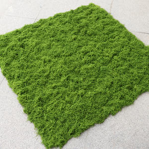 Al por mayor alfombra de <span class=keywords><strong>musgo</strong></span> real artificial Alambre de hierba de imitación realista para pared verde césped <span class=keywords><strong>español</strong></span> <span class=keywords><strong>musgo</strong></span> artificial - Product Image 1