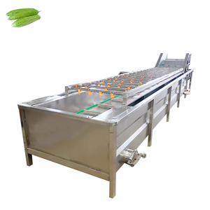 Washing Vegetable Machine Industrial Cabbage Vegetable Washing Machine Ozone Fruit and Vegetable Washing Machine - Product Image 5