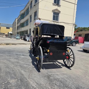 Best Selling Custom Black Electric Horse Carriage Rows Double Soft Canopy Retro Buggy For Theme Park Hotel Parade - Product Image 6