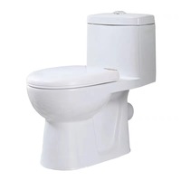 Toilette à siphon, Toilette de projet, Toilette monobloc, Toilette pour rénovation, Toilette en céramique spécialisée, Toilette de salle de bain
