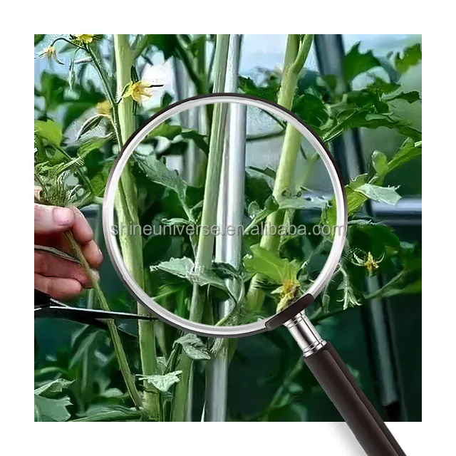 SU Super asta di vetro in fibra di produzione con 3-8mm per Gaeden in agricoltura