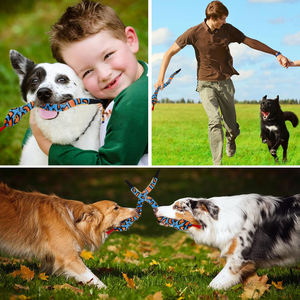 AFP yeni kemik çatırtı ses yumuşak peluş köpek gıcırtı yılan çiğnemek oyuncak Bite dayanıklı interaktif Pet gıcırtılı çiğneme uzun yılan oyuncak - Product Image 5