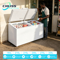 Réfrigérateur solaire AC/DC 308L 12/24V, congélateur solaire hors réseau avec roues, sans fluor pour la maison, le camping-car et le magasin