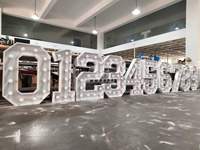 Lettres lumineuses LED pour mariage, enseigne de fête, chiffres de 6 pieds, avec prix d'usine