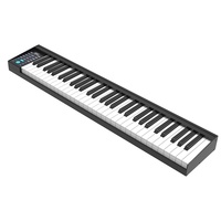 Convenient Digital Electric Piano Keyboard Use Battery Music Piano Keyboard Professional Mid 61 Keys Musical Instrument