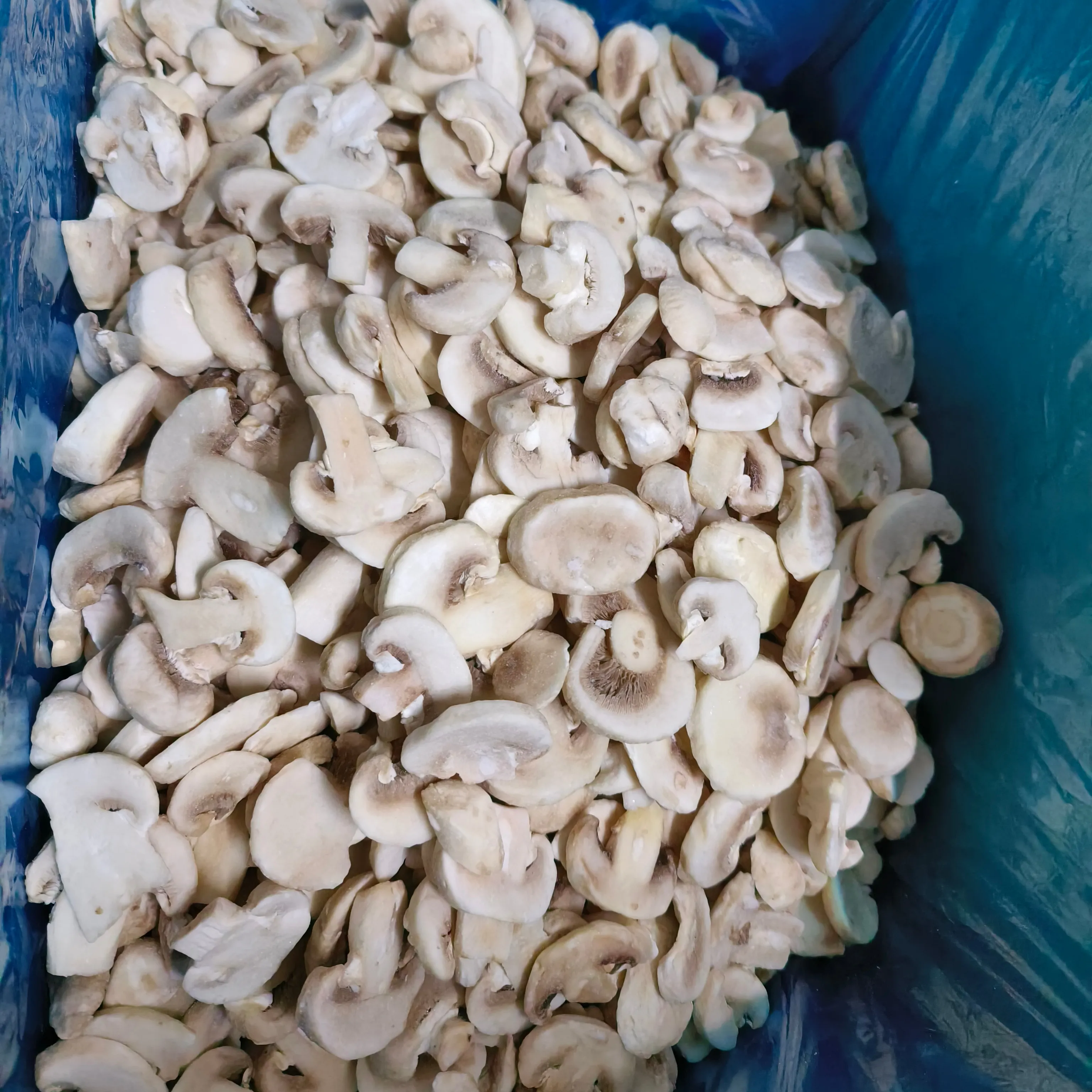 IQF White frozen champion mushroom for market prices