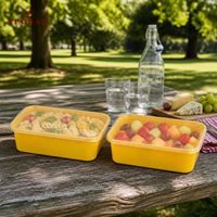 Contenitore per Alimenti Usa e Getta in PP Rettangolare da 750ML con Coperchio, Contenitori Ecologici in Plastica PP per Cibo da Asporto