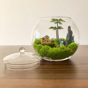 Barattolo moderno per terrario da 20cm con coperchio in vetro vaso decorativo da tavolo e urna per uso interno domestico - Product Image 6
