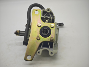 Boîte de vitesses inversée pour tricycle à bas prix pour moto à 3 roues <span class=keywords><strong>50cc</strong></span> 125cc 150cc 200cc, auto-rickshaw, pousse-pousse, UTV diesel - Product Image 6