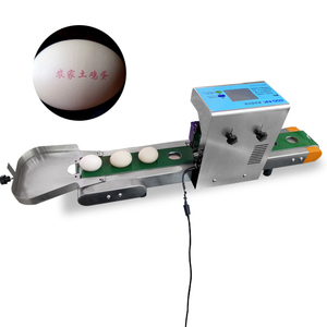고효율 자동 코딩 시스템 대규모 농장 신선한 생산 마킹 데이트 계란 인쇄기 계란 프린터 - Product Image 1