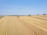 Moissonneuse-batteuse AF88G : Large plage de vitesses et grand contact au sol pour une résistance au creusement sur les champs humides et souples