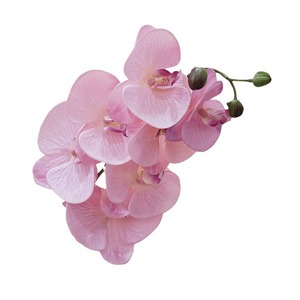 RK207 Orchidées artificielles en gros <span class=keywords><strong>Phalaenopsis</strong></span> <span class=keywords><strong>Dendrobium</strong></span> Latex Papillon 7 têtes Fleurs d'orchidées artificielles au toucher réel - Product Image 5