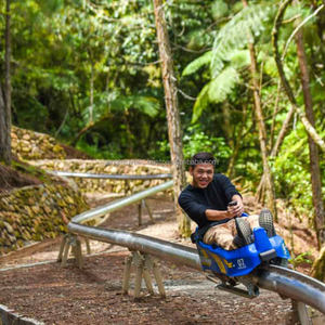 Alpine Outdoor Adventure Mono Rail Steel Pipe Roller Coaster Scenic Spot Mountain Coaster Ride pour les parcs d'attractions - Product Image 1