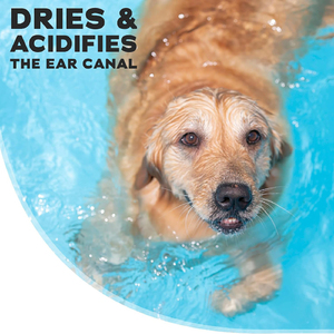 <span class=keywords><strong>Nettoyant</strong></span> <span class=keywords><strong>Auriculaire</strong></span> Marque Blanche pour Chiens et Chats – Rinçage Otique pour Infections et Contrôle des Odeurs Auriculaires – Traitement de Soin pour Animaux de Compagnie - Product Image 5