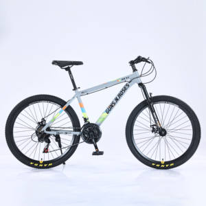 OEM vélo pas cher Chine <span class=keywords><strong>VTT</strong></span> 21 vitesses Cycle 26 27.5 29 pouces <span class=keywords><strong>VTT</strong></span> Bicicletas pour adultes - Product Image 4