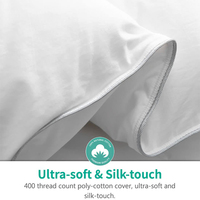Couette en Duvet d'oie de luxe, Ultra douce, 100% coton, housse, nuage, duveteuse, très chaude