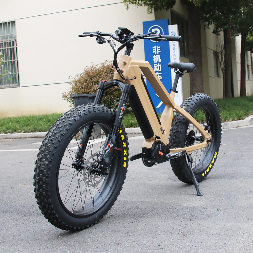 胖胎e自行车双电池48v 1000w bafang mid drive ebike电动自行车雪地