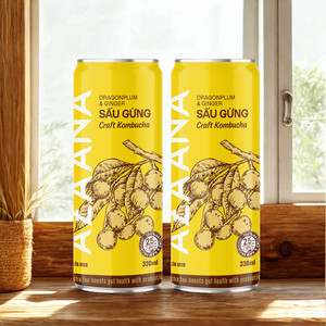 Té en caja de fruta de jengibre Kombucha seca de estilo vietnamita con sabor mixto Certificado Halal Deliciosidad picante perfectamente equilibrada - Product Image 1