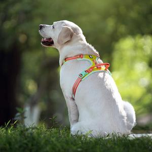 Arnés de malla transpirable y duradero Truelove <span class=keywords><strong>para</strong></span> perros, reflectante, de seguridad, premium, ajustable, <span class=keywords><strong>para</strong></span> pasear. - Product Image 1