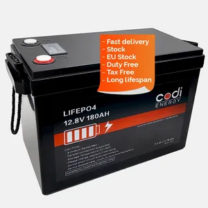 12 V LiFePO4 wiederaufladbare Li-Ionen-Speicherbatterie mit langem Zyklus und langer Lebensdauer LFP 12 V 100 Ah Lithium-Ionen-Batterie