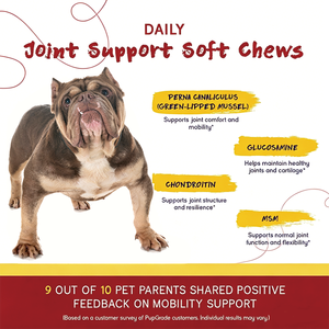 Perna Mussels, Golosinas Masticables para Perros con Soporte Articular, Sabor a Carne <span class=keywords><strong>de</strong></span> Res y Mejillón <span class=keywords><strong>de</strong></span> Labio Verde, Forma <span class=keywords><strong>de</strong></span> Hueso, 60 Unidades, Venta al Por Mayor, OEM - Product Image 5