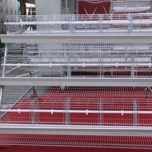 Equipamento de fazenda ovo cocô de galinha para camadas de galinhas - Product Image 1
