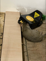 Nouvelle conception, vente chaude, piège à rats, piège à souris de grande taille, tueur de rongeurs en plastique pour la maison et le jardin
