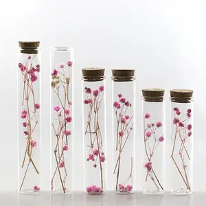 5ml 7ml 10ml 12ml petites flacons transparents bouteilles en verre avec mini bocaux en liège pour les faveurs de fête mariage dérive souhaitant bouteille