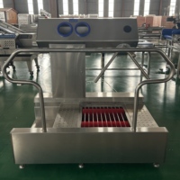 Machine de lavage de chaussures entièrement automatique en acier inoxydable personnalisée pour le nettoyage, la désinfection et l'hygiène des bottes destinée aux abattoirs