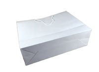 Custom High Quality Luxury White Paperboard Hand Length Flexo Printed Recyclable Film Laminated Shopping Bags for Clothing